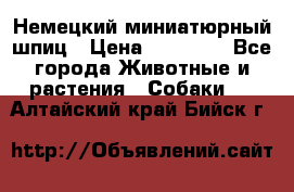 Немецкий миниатюрный шпиц › Цена ­ 60 000 - Все города Животные и растения » Собаки   . Алтайский край,Бийск г.